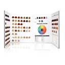 Colour Chart 1pcs Pur Hair