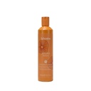 Argan Shampoo 300ml Echosline