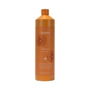 Argan Shampoo 1000ml Echosline